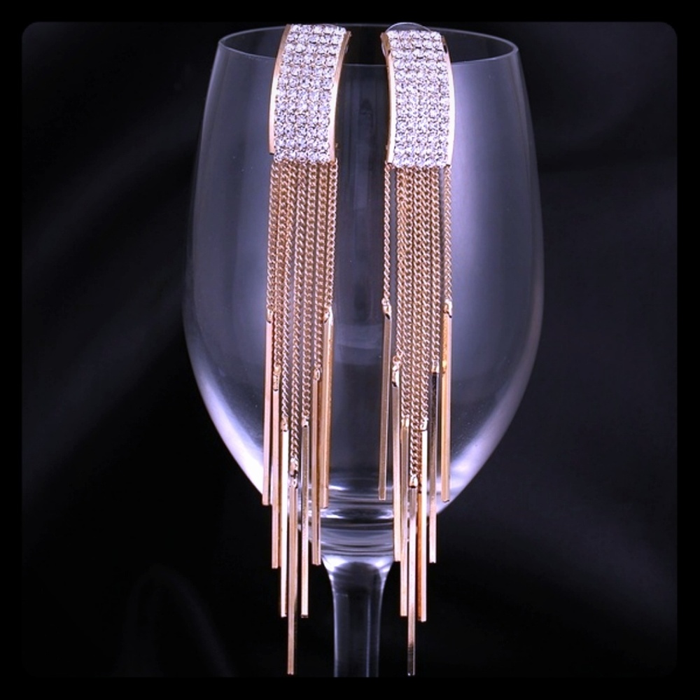 Fashion Long earrings.